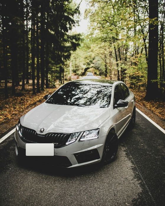 Srebrna Skoda Octavia zaparkowana na leśnej drodze — przykład auta osobowego, jakie odkupujemy